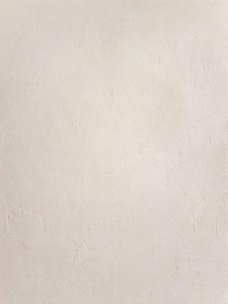 BL Custom Beige - Large Painted Plaster Photo Surface (36"x48")